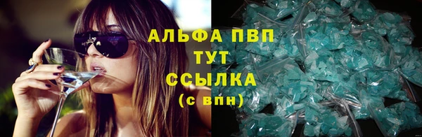 спиды Верея